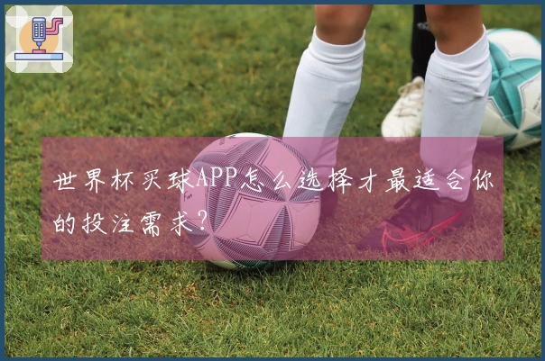 世界杯买球APP怎么选择才最适合你的投注需求？
