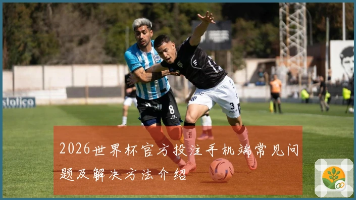 2026世界杯官方投注手机端常见问题及解决方法介绍