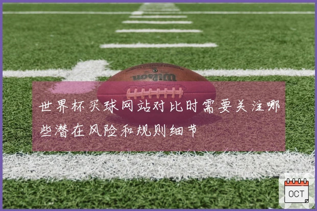 世界杯买球网站对比时需要关注哪些潜在风险和规则细节