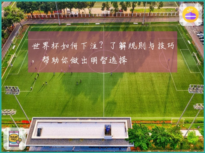 世界杯如何下注？了解规则与技巧，帮助你做出明智选择