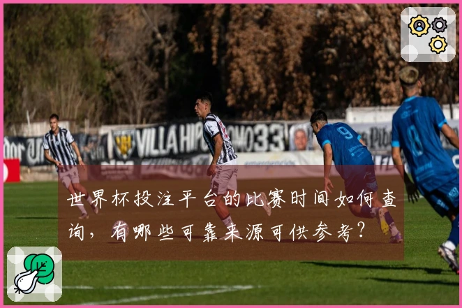 世界杯投注平台的比赛时间如何查询，有哪些可靠来源可供参考？