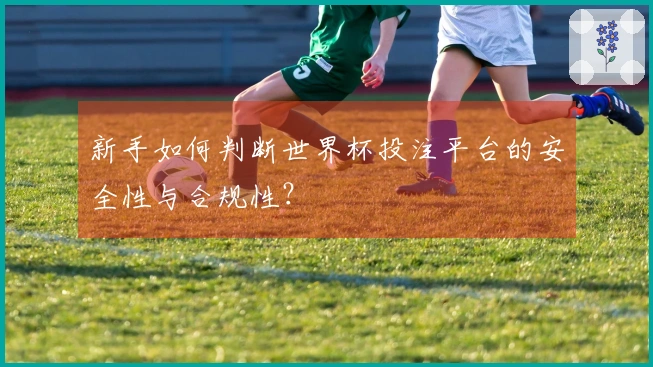 新手如何判断世界杯投注平台的安全性与合规性？
