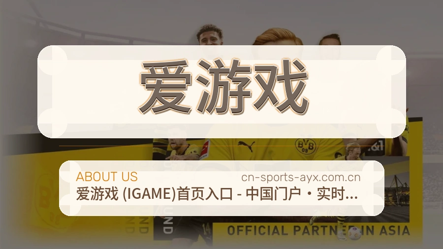 爱游戏关于我们